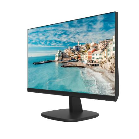 Hikvision 24" FHD Screen | DS-5024FN