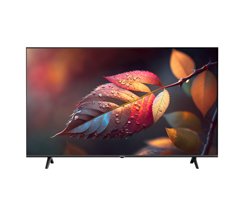 G-Guard 65" 4K Smart Cedra