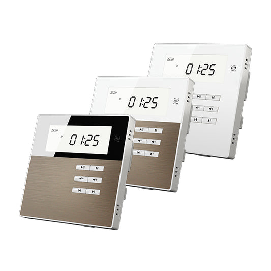 DSPPA Home Wall-Mounted Stereo Music Amplifier Kit | DSPPA M2B Kit